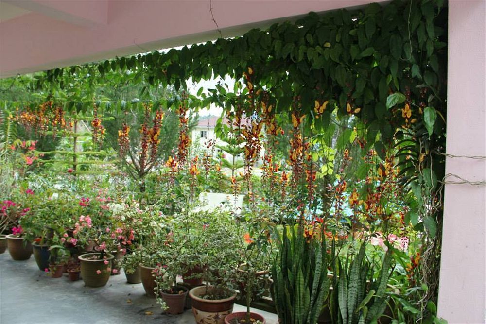 Krs Pines Hotel Cameron Highlands Exterior foto